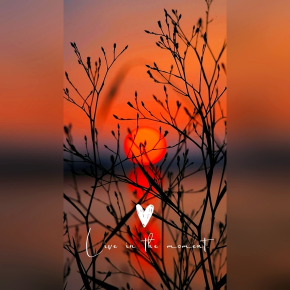 Like This Listing To Get Notified When We Go Live!! - Picture 1 of 1